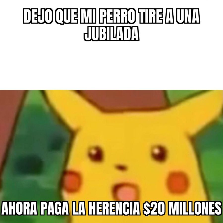 Un dogo tiró al piso a una jubilada y la heredera del dueño del perro tendrá que pagarle $20 millones