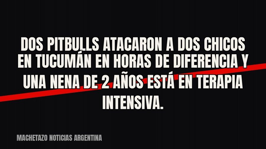 Dos pitbulls atacaron a dos chicos en Tucumán en horas de diferencia y una nena de 2 años está en terapia…