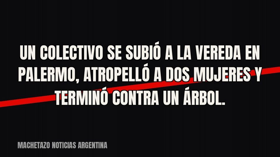 Un colectivo se subió a la vereda en Palermo, atropelló a dos mujeres y terminó contra un árbol.