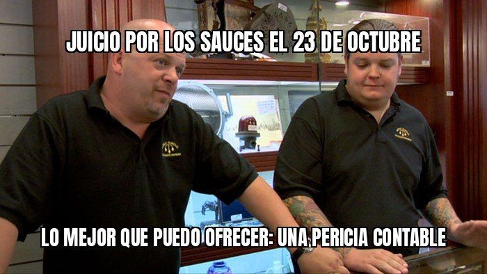 Cristina y Máximo Kirchner van a juicio por Los Sauces el 23 de octubre: los jueces ya tienen la pericia…