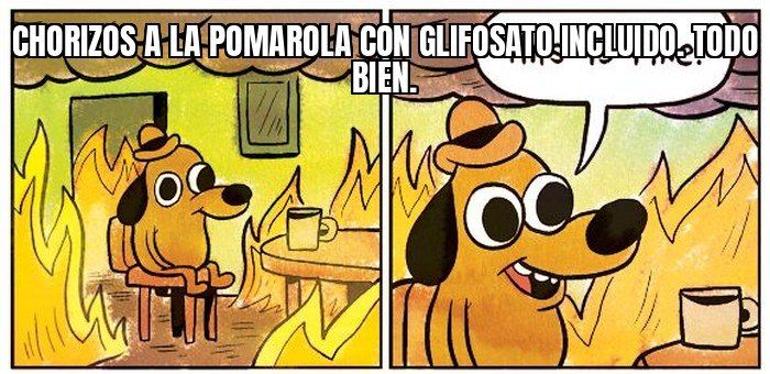 En una fiesta de un municipio bonaerense cocinaron chorizos a la pomarola en un bidón de glifosato