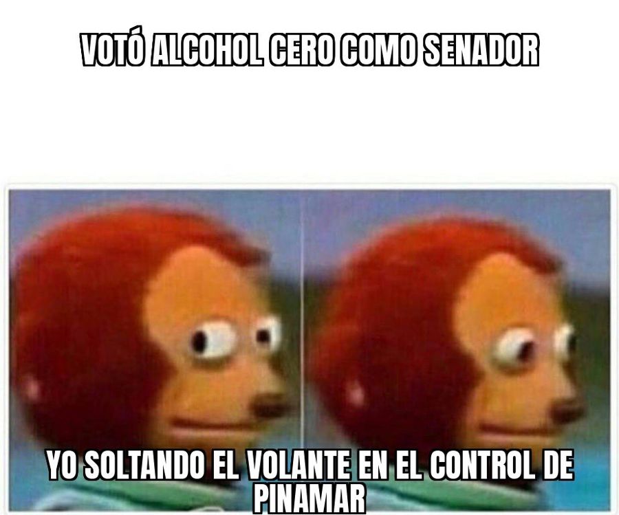 Funcionario libertario dio positivo de alcoholemia en Pinamar, se escapó del control y quedó inhabilitado…