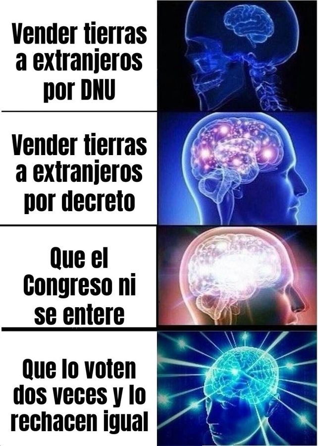 La oposición quiere forzar una sesión especial para voltear el DNU de Milei que deja vender tierras a…
