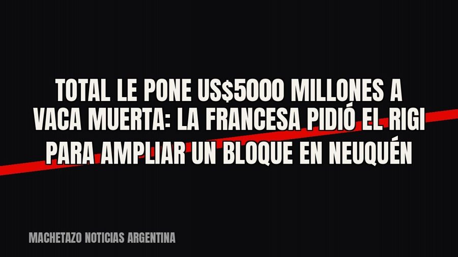 Total le pone US$5000 millones a Vaca Muerta: la francesa pidió el RIGI para ampliar un bloque en Neuquén