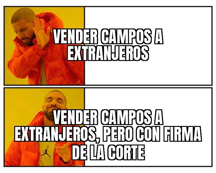 La Corte Suprema dejó sin efecto los límites a la compra de campos por extranjeros: firmaron Rosatti,…