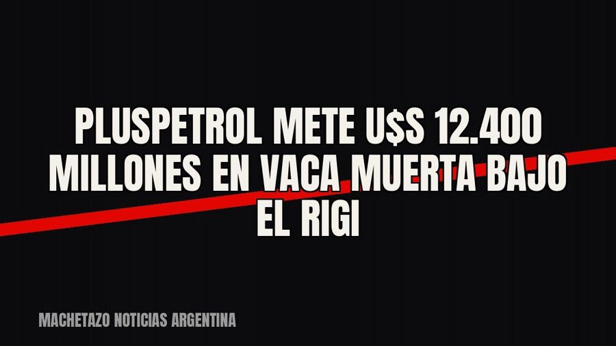Pluspetrol mete u$s 12.400 millones en Vaca Muerta bajo el RIGI