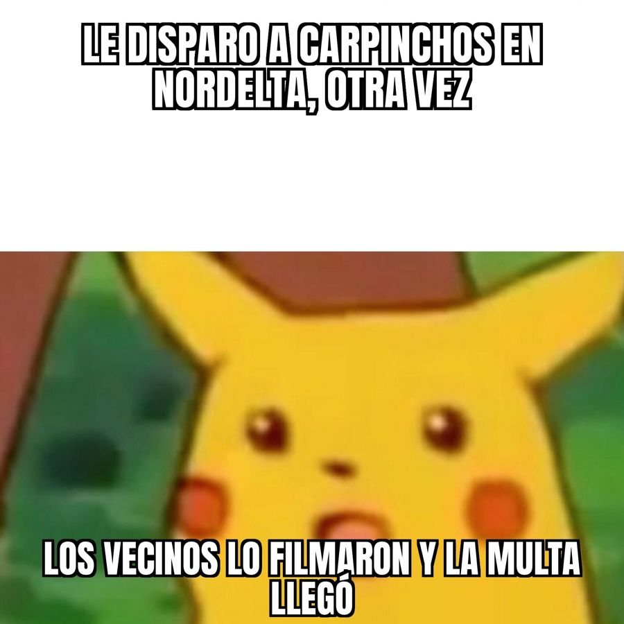 Vecino de Nordelta filmado disparándole a carpinchos: es un ex piloto de avión de 49 años y ya le tocó pagar…