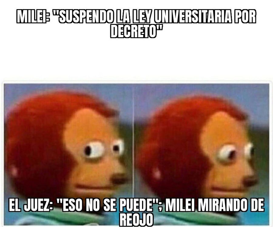 Un juez federal declaró inconstitucional el decreto con el que Milei frenó el financiamiento universitario