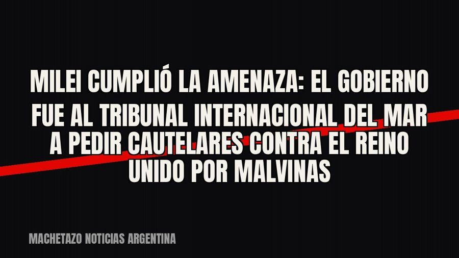 Milei cumplió la amenaza: el Gobierno fue al Tribunal Internacional del Mar a pedir cautelares contra el…