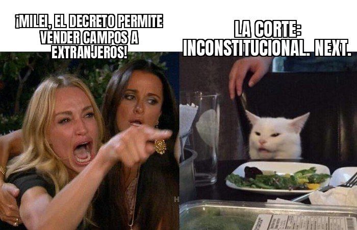 La Corte Suprema declaró inconstitucional el artículo 154 del DNU 70/2023, el que flexibilizaba la venta de…