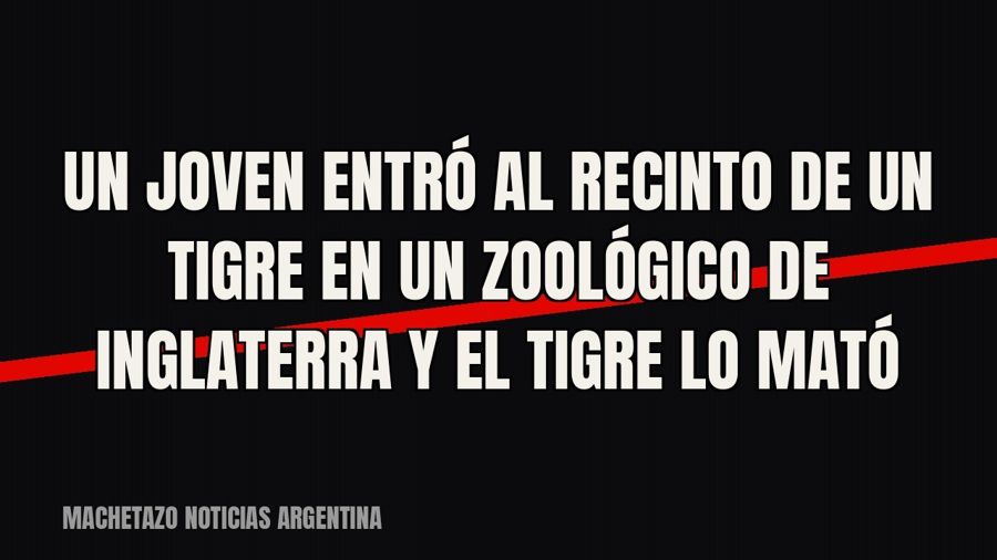 Un joven entró al recinto de un tigre en un zoológico de Inglaterra y el tigre lo mató