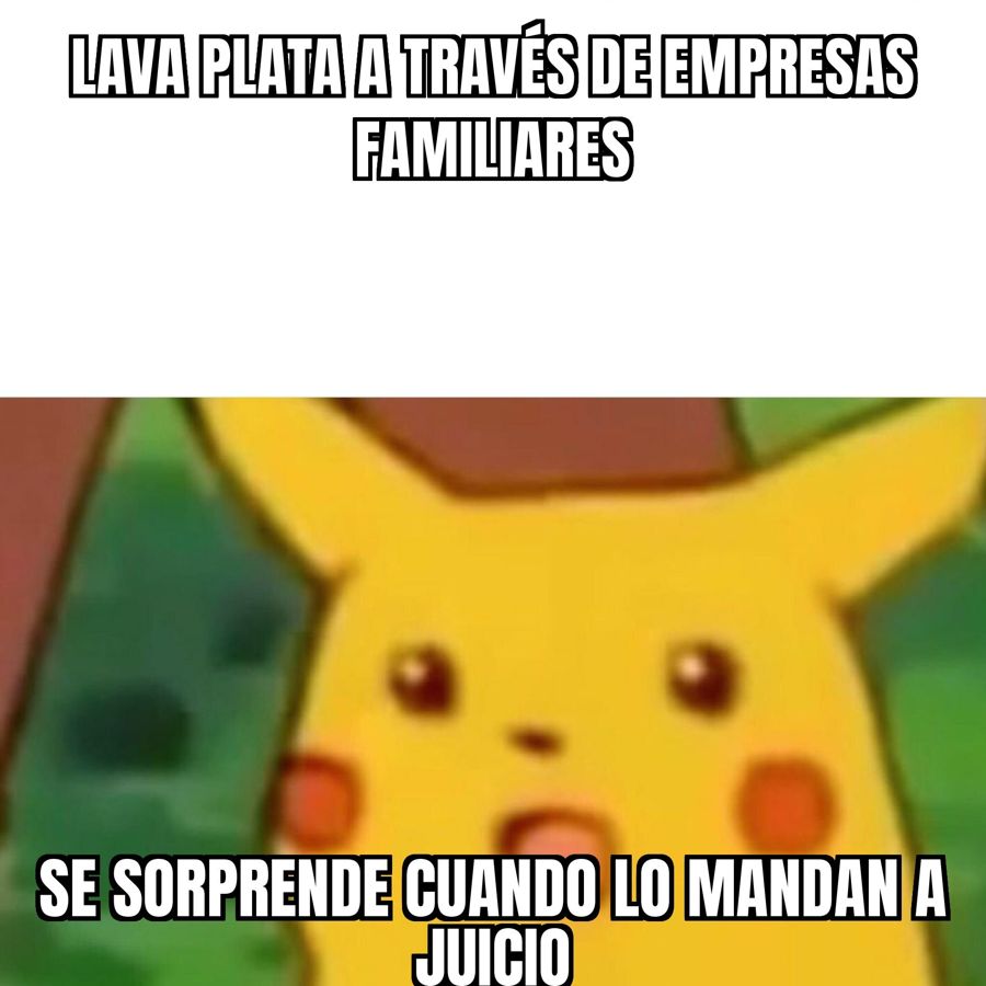 Máximo Kirchner irá a juicio como organizador de una asociación ilícita y por lavado en la causa Los Sauces SA