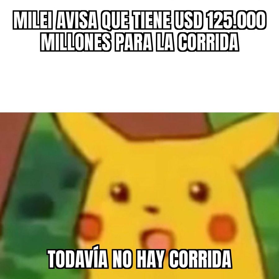 Milei: "Tengo USD 125.000 millones en la billetera para enfrentar una corrida el año que viene"