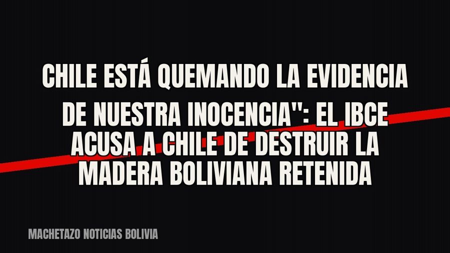 quot;Chile está quemando la evidencia de nuestra inocencia": el IBCE acusa a Chile de destruir la madera…