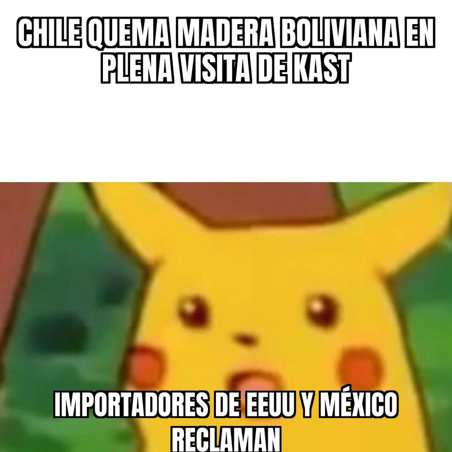 Chile quemó madera boliviana y ahora importadores de EEUU y México reclaman, justo cuando Kast visita Bolivia