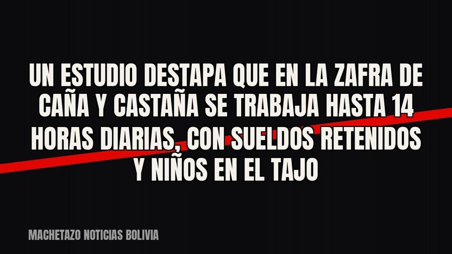 Un estudio destapa que en la zafra de caña y castaña se trabaja hasta 14 horas diarias, con sueldos retenidos…