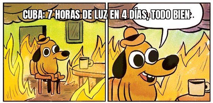 quot;Ni se imaginan el estrés": creadora de contenido cubana lleva días sin luz y ya no sabe si…