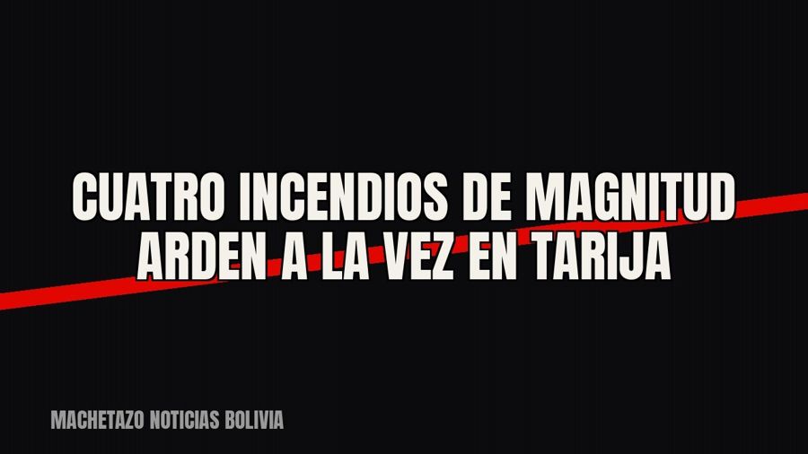 Cuatro incendios de magnitud arden a la vez en Tarija