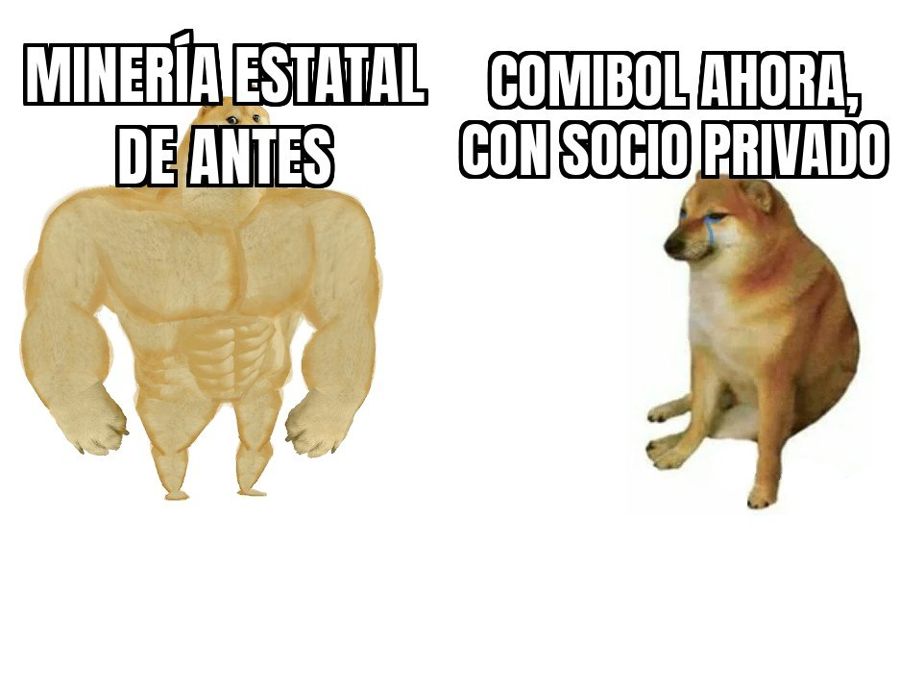 Diputados aprueban la ley para que Comibol firme contrato minero con una empresa privada