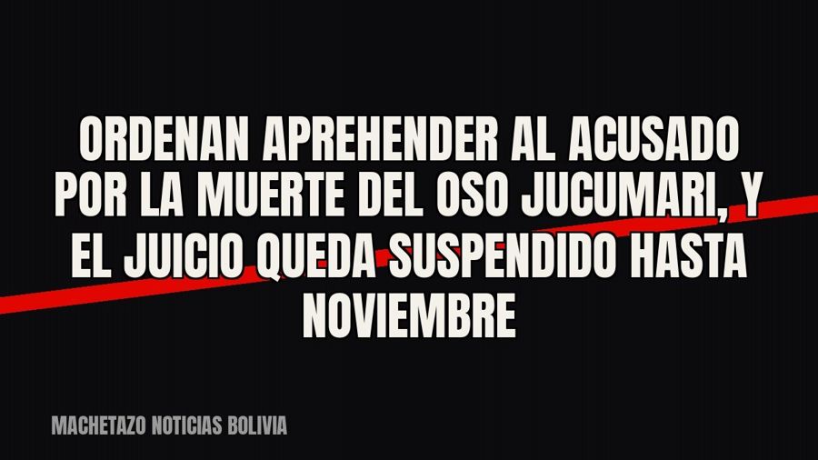 Ordenan aprehender al acusado por la muerte del oso jucumari, y el juicio queda suspendido hasta noviembre