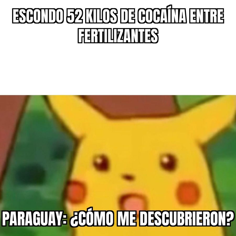 Paraguay frenó un camión boliviano cargado de fertilizantes que escondía más de 52 kilos de cocaína.