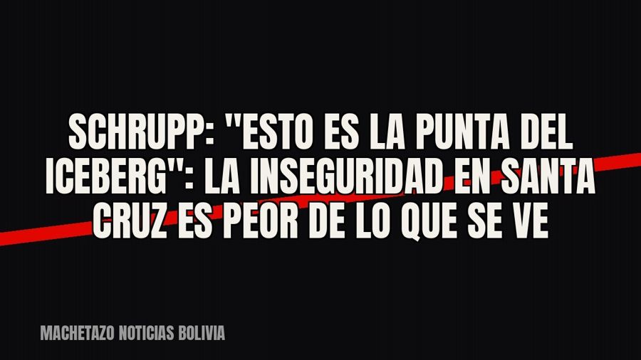 Schrupp: "Esto es la punta del iceberg": la inseguridad en Santa Cruz es peor de lo que se ve
