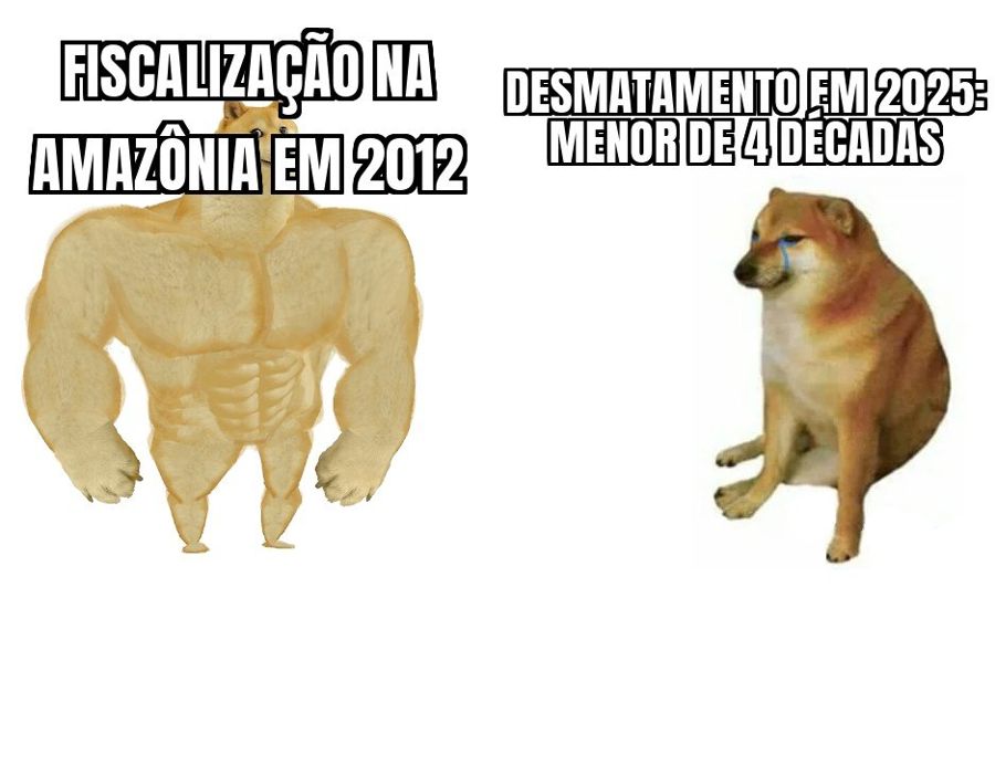 Amazônia tem o menor desmatamento já registrado: queda de 42% em um ano