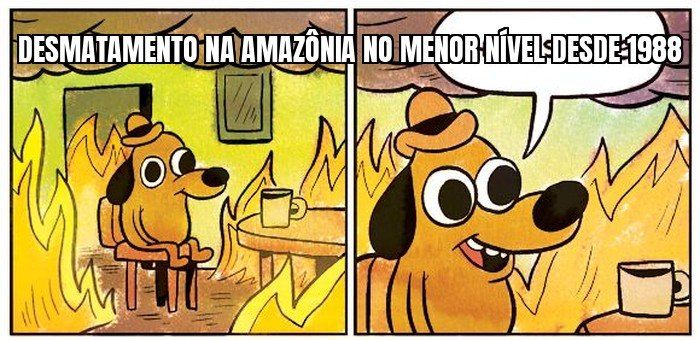 Desmatamento na Amazônia brasileira cai ao menor nível desde 1988, quando os registros começaram.