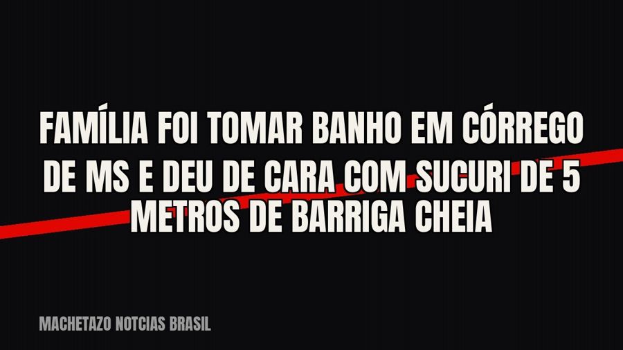 Família foi tomar banho em córrego de MS e deu de cara com sucuri de 5 metros de barriga cheia