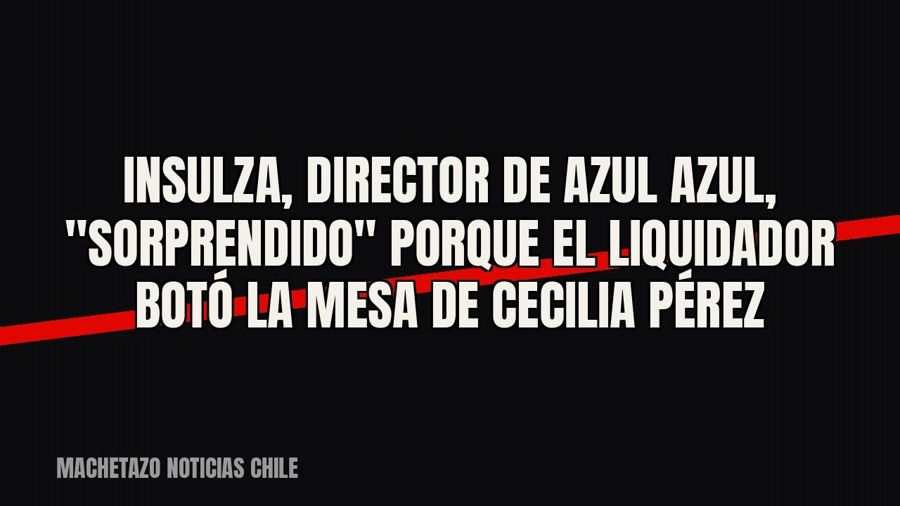 Insulza, director de Azul Azul, "sorprendido" porque el liquidador botó la mesa de Cecilia Pérez