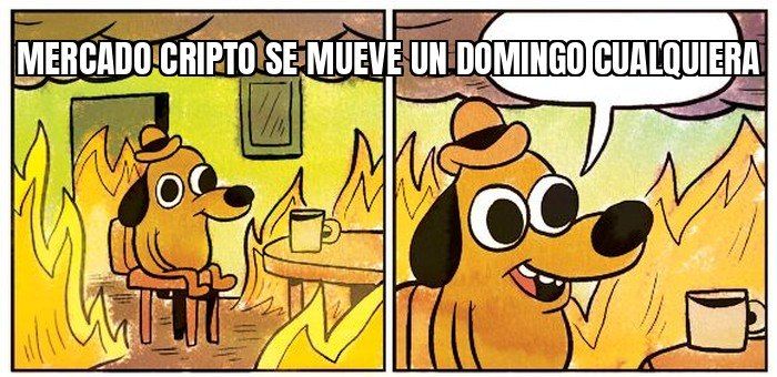El mercado cripto se movió otra vez este domingo y nadie en Chile durmió tranquilo por eso.