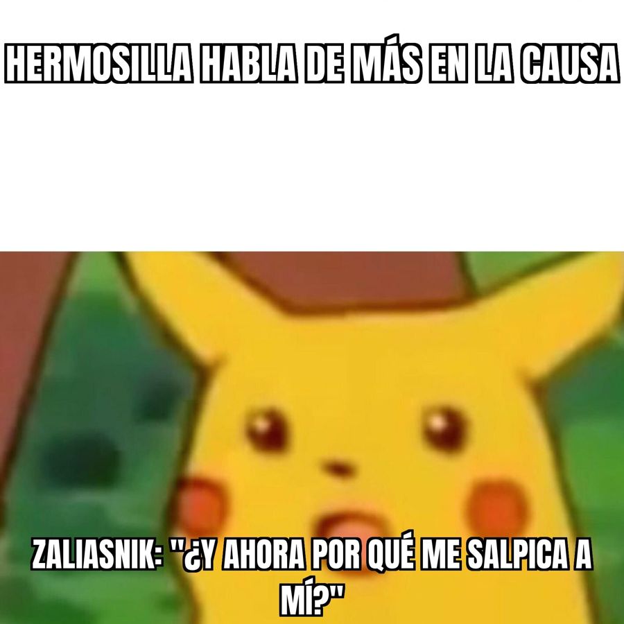 Hermosilla soltó la lengua y Zaliasnik quedó en una posición bien complicada