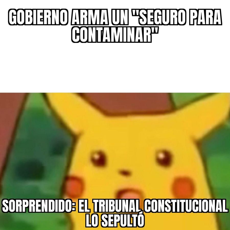 El Tribunal Constitucional sepultó el "seguro para contaminar" del Gobierno y Defendamos Patagonia…
