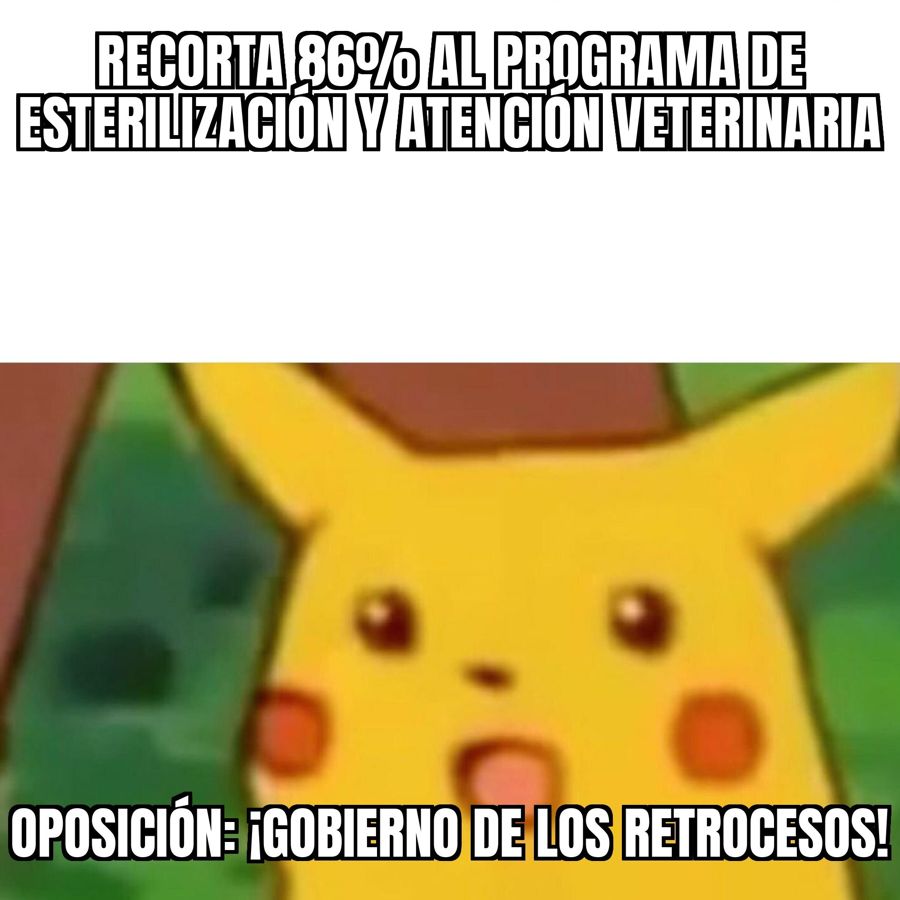 Oposición acusa a Kast de "gobierno de los retrocesos" por recortarle 86% al programa de la Ley…