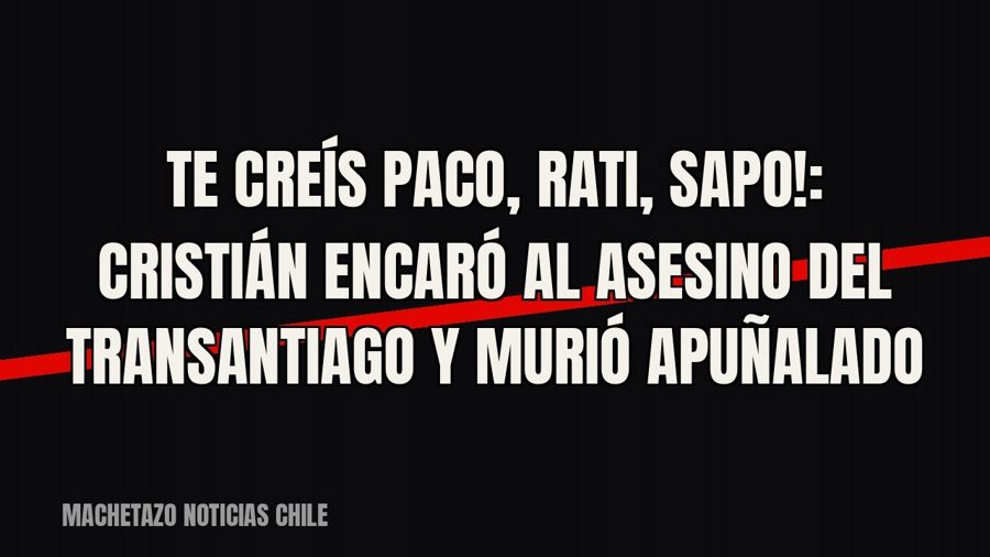 «¡Te creís paco, rati, sapo!»: Cristián encaró al «asesino del Transantiago» y murió apuñalado