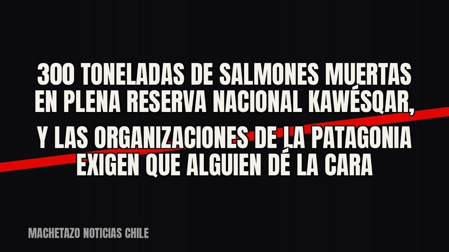 300 toneladas de salmones muertas en plena Reserva Nacional Kawésqar, y las organizaciones de la Patagonia…