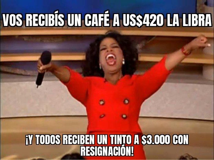 Un café de Caldas se pagó a US$420 la libra: récord histórico nacional