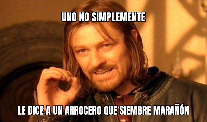El ministro de Agricultura dice que el arroz "ya no es negocio" en Colombia y que mejor…