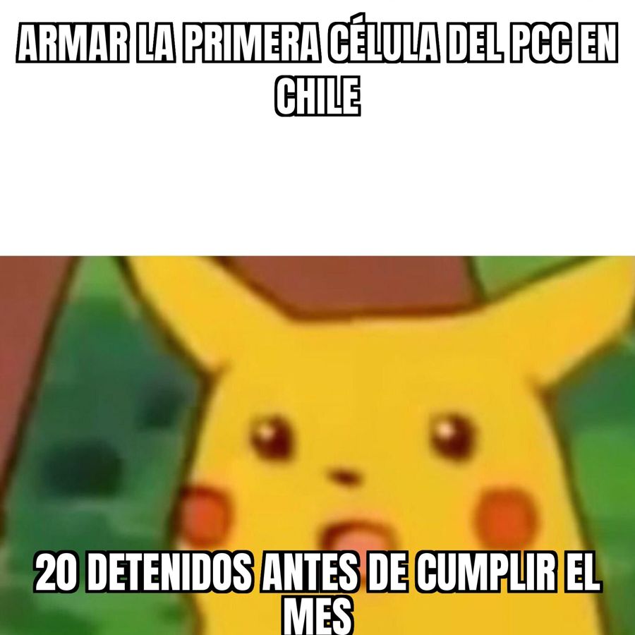 Cayó la primera célula del PCC brasileño en Chile: 20 detenidos entre cárceles y domicilios.