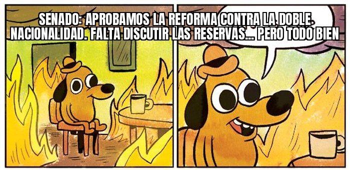 El Senado aprobó en lo general la reforma contra la doble nacionalidad