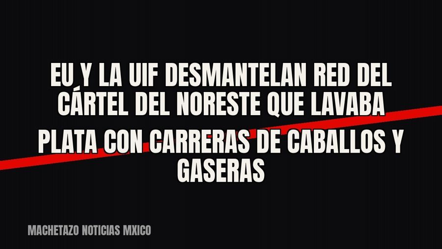 EU y la UIF desmantelan red del Cártel del Noreste que lavaba plata con carreras de caballos y gaseras