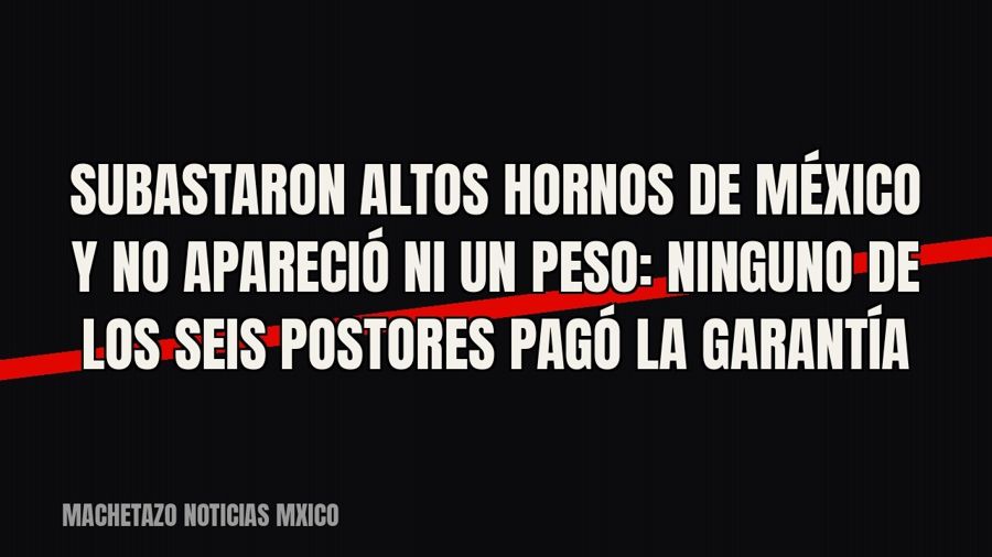 Subastaron Altos Hornos de México y no apareció ni un peso: ninguno de los seis postores pagó la garantía