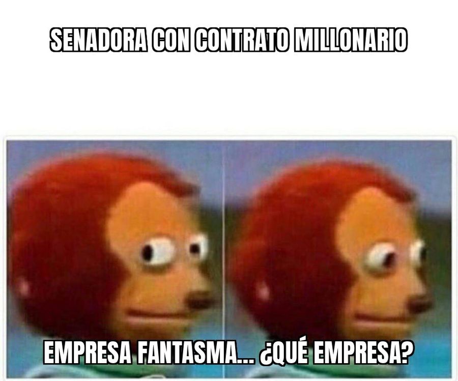 Acusan a la senadora Viggiano de venderle a una empresa "fantasma" y cobrar una suma millonaria
