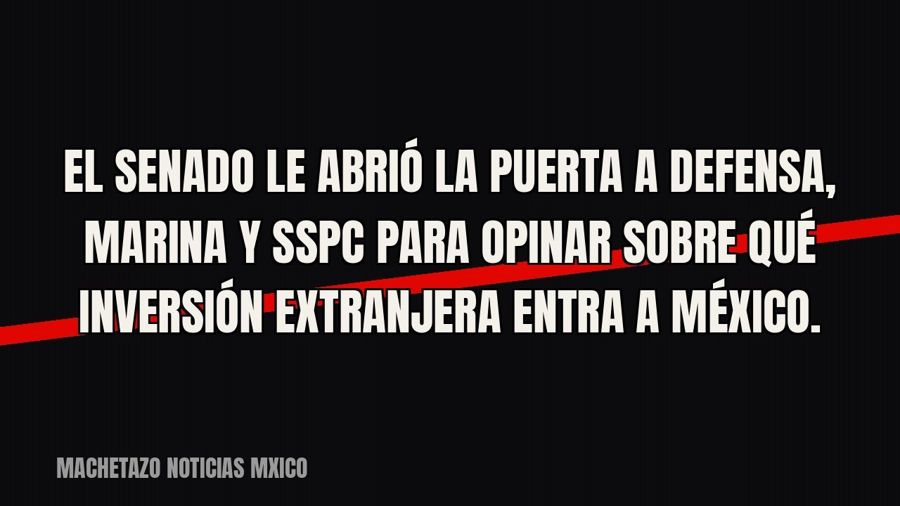 El Senado le abrió la puerta a Defensa, Marina y SSPC para opinar sobre qué inversión extranjera entra a…
