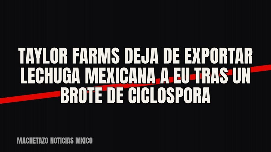 Taylor Farms deja de exportar lechuga mexicana a EU tras un brote de ciclospora
