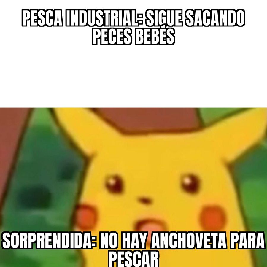 Produce descarta nueva temporada de anchoveta en el norte-centro y la pesca industrial podría parar más de un…