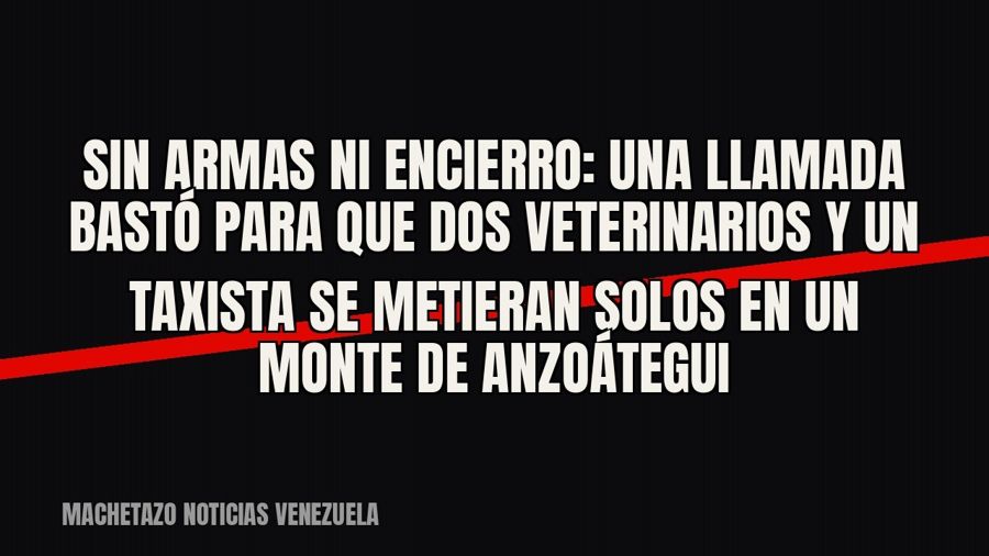 Sin armas ni encierro: una llamada bastó para que dos veterinarios y un taxista se metieran solos en un monte…