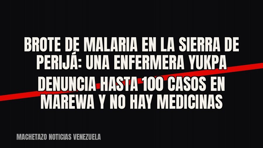 Brote de malaria en la sierra de Perijá: una enfermera yukpa denuncia hasta 100 casos en Marewa y no hay…