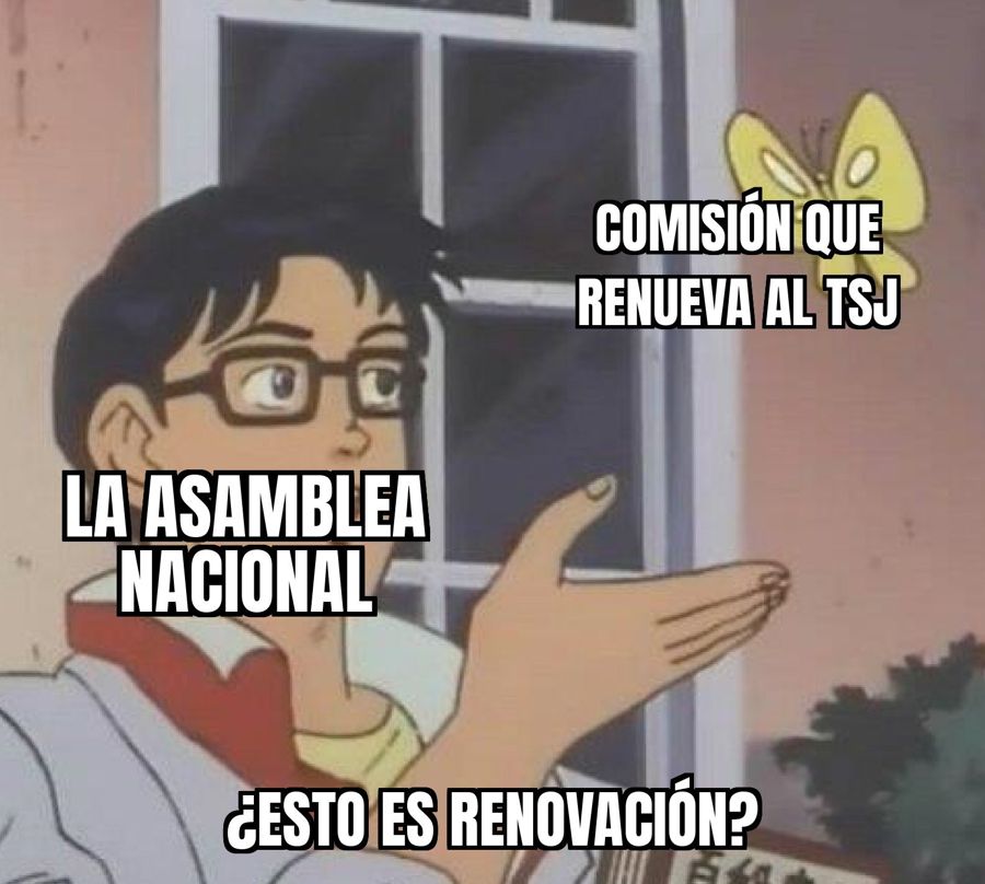 La Asamblea Nacional nombra una comisión para arrancar la renovación del Tribunal Supremo de Justicia
