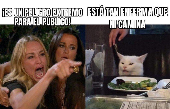 La defensa de Cilia Flores pide libertad bajo fianza: dice que está tan enferma en prisión que no puede…